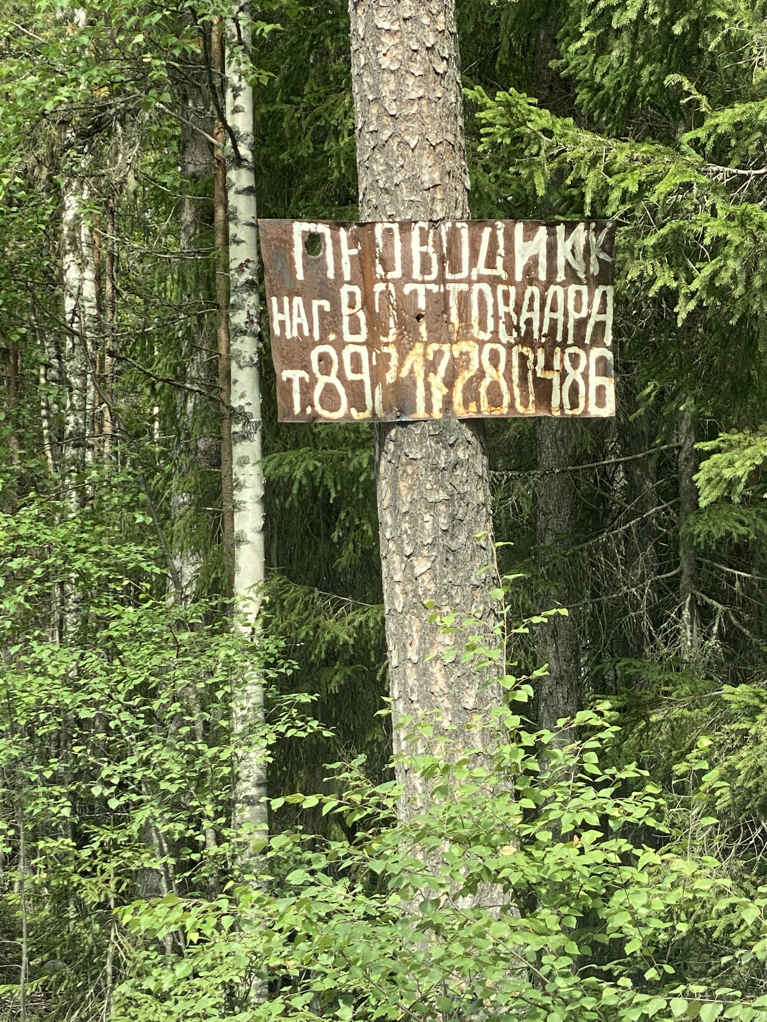 2021 07 31 13.58.07